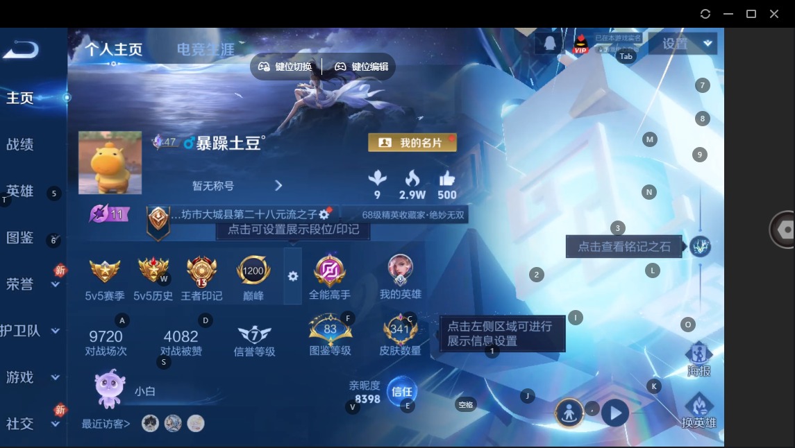 WZQM4171089王者荣耀账号详情图10