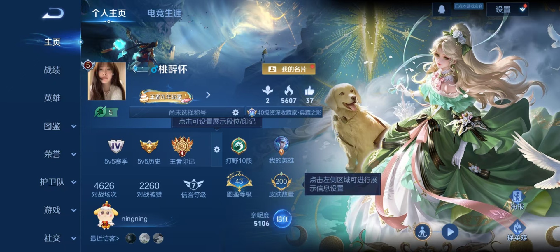 WZQM4147641王者荣耀账号详情图13