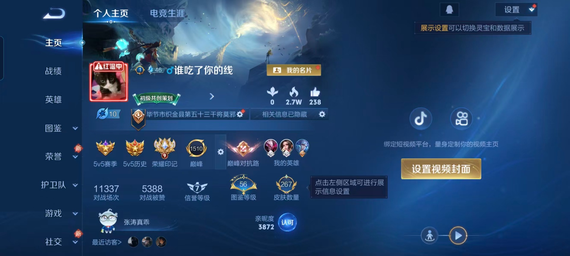 WZCMW4157593王者荣耀账号详情图12