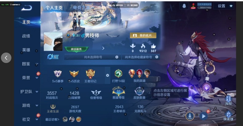 WZQM4180105王者荣耀账号详情图14