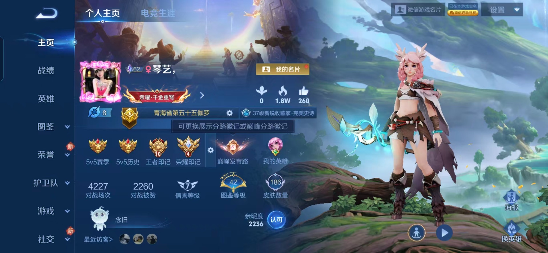 WZCMW4154723王者荣耀账号详情图12