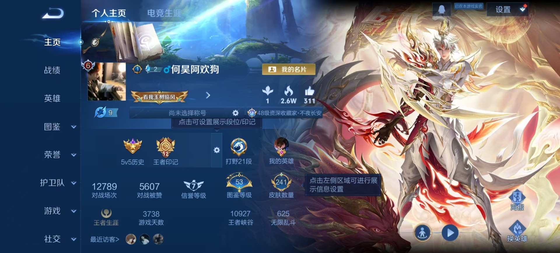 WZQM4172802王者荣耀账号详情图14