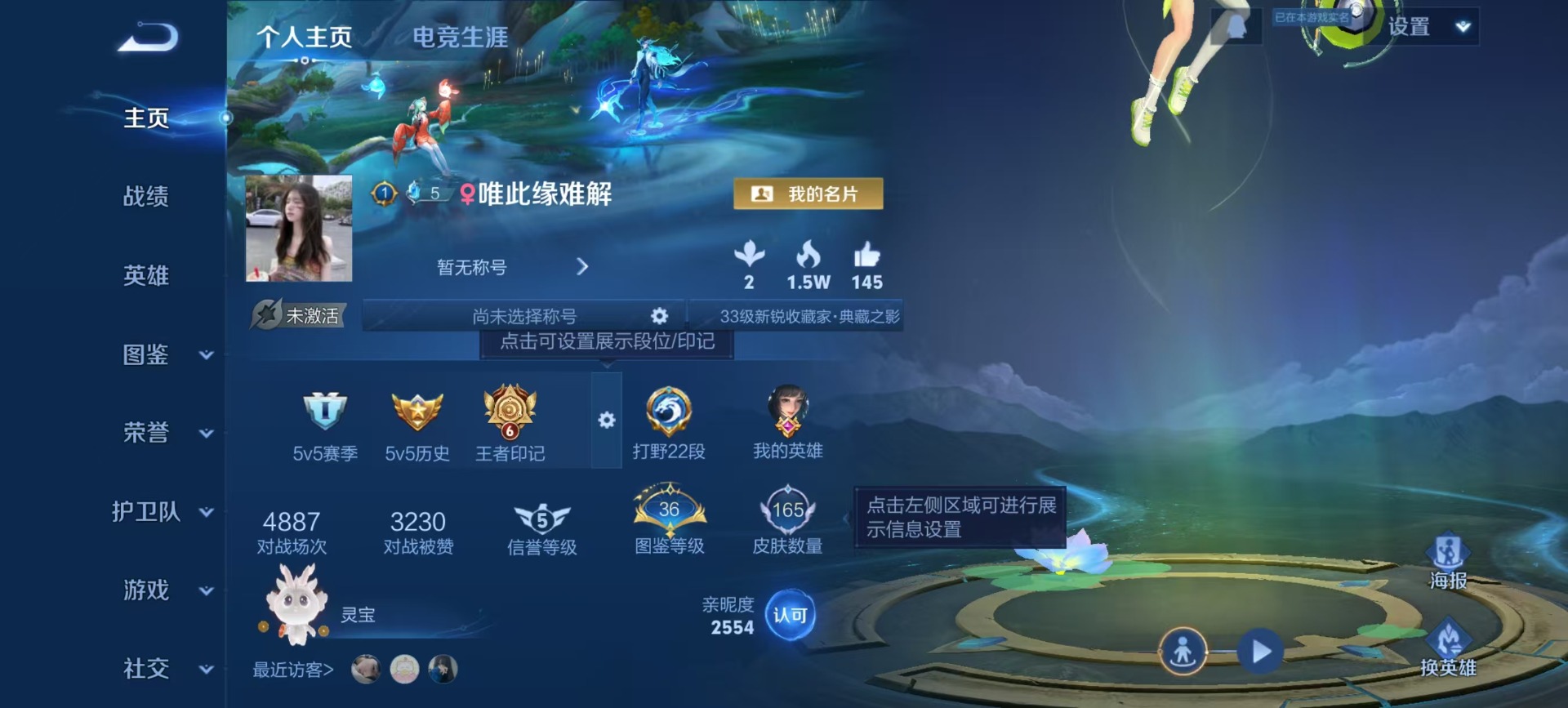 WZQM4177596王者荣耀账号详情图13