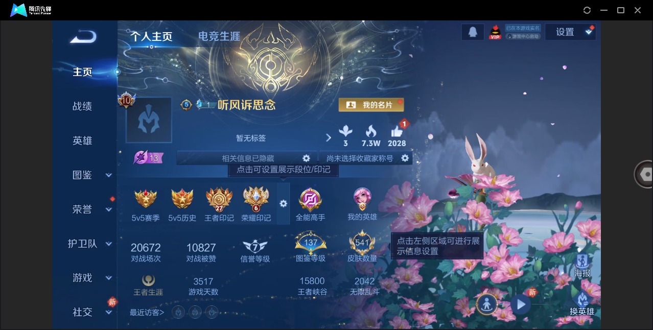 WZQM4201713王者荣耀账号详情图17