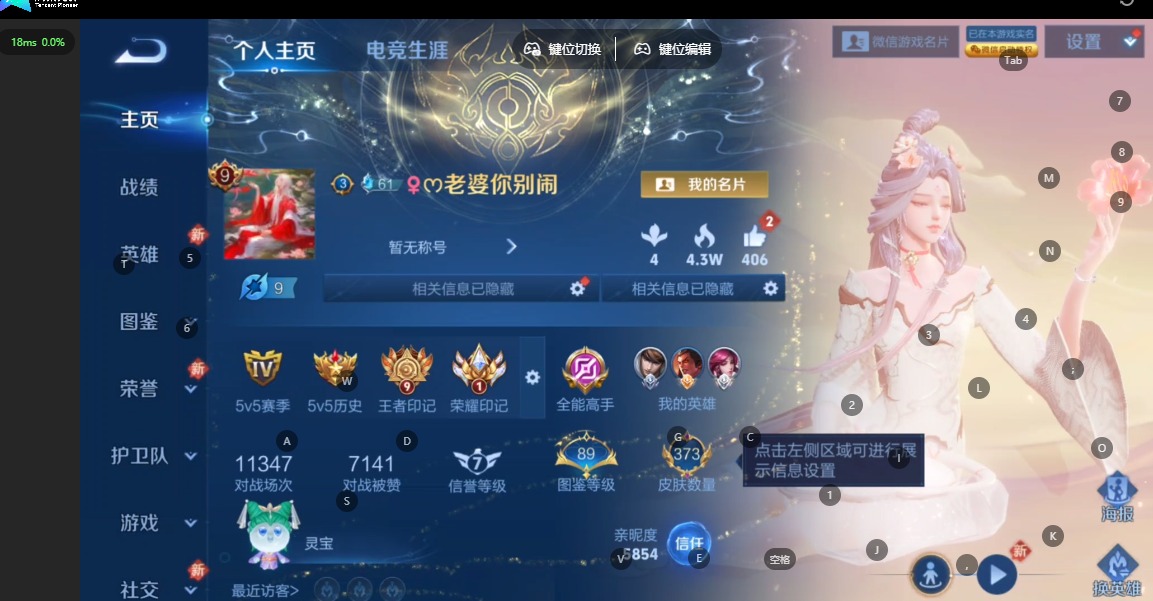 WZCMW4166621王者荣耀账号详情图4