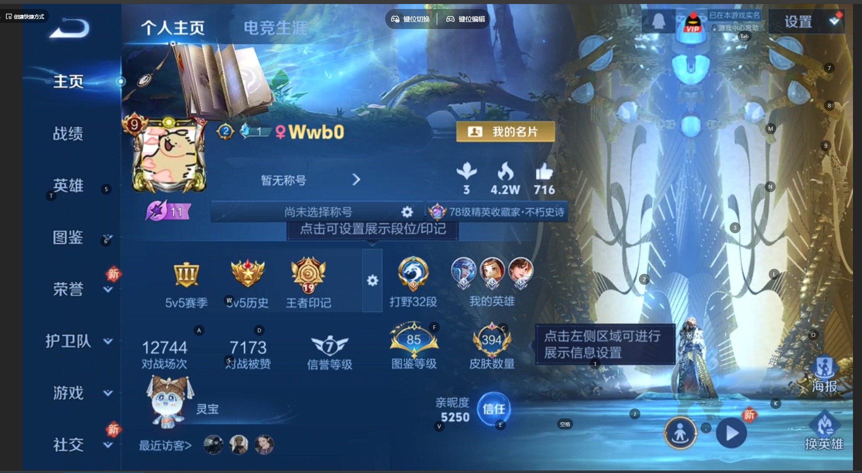 WZQM4191263王者荣耀账号详情图13