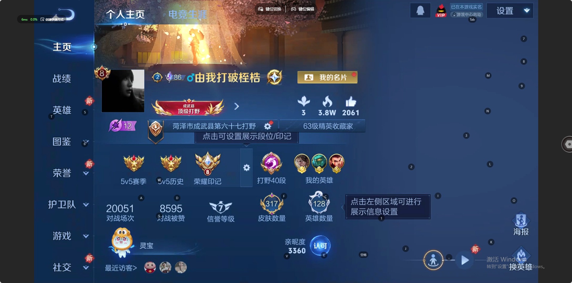 WZQM4196498王者荣耀账号详情图11