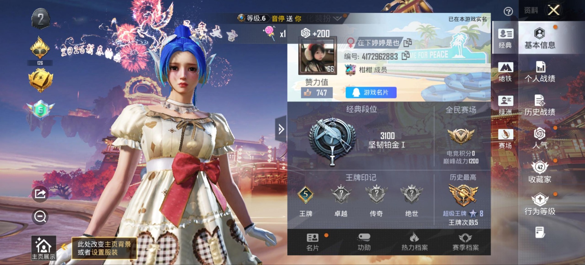 WZCMW4204357王者荣耀账号详情图33