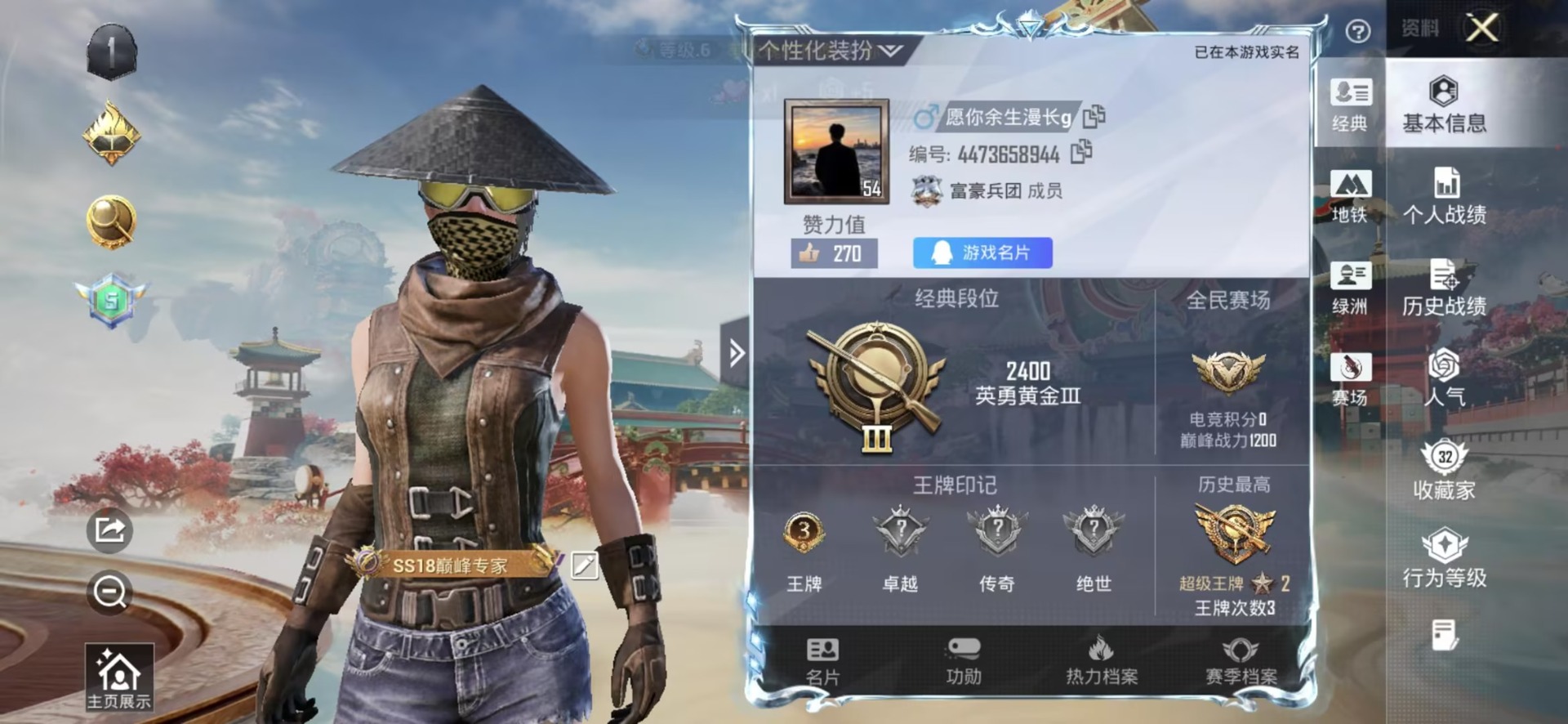 WZLX4218697王者荣耀账号详情图18