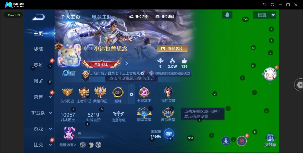 WZQM4211931王者荣耀账号详情图4