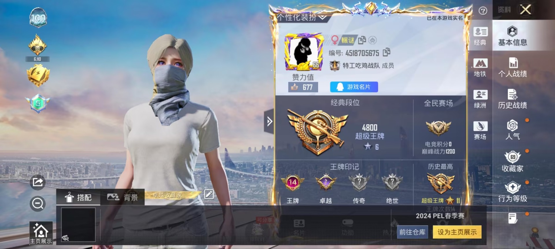 HPCMW4135035和平精英账号详情图5