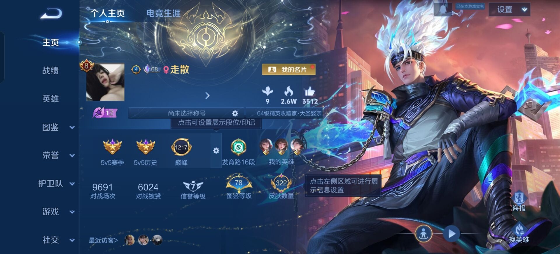 WZQM4236110王者荣耀账号详情图13