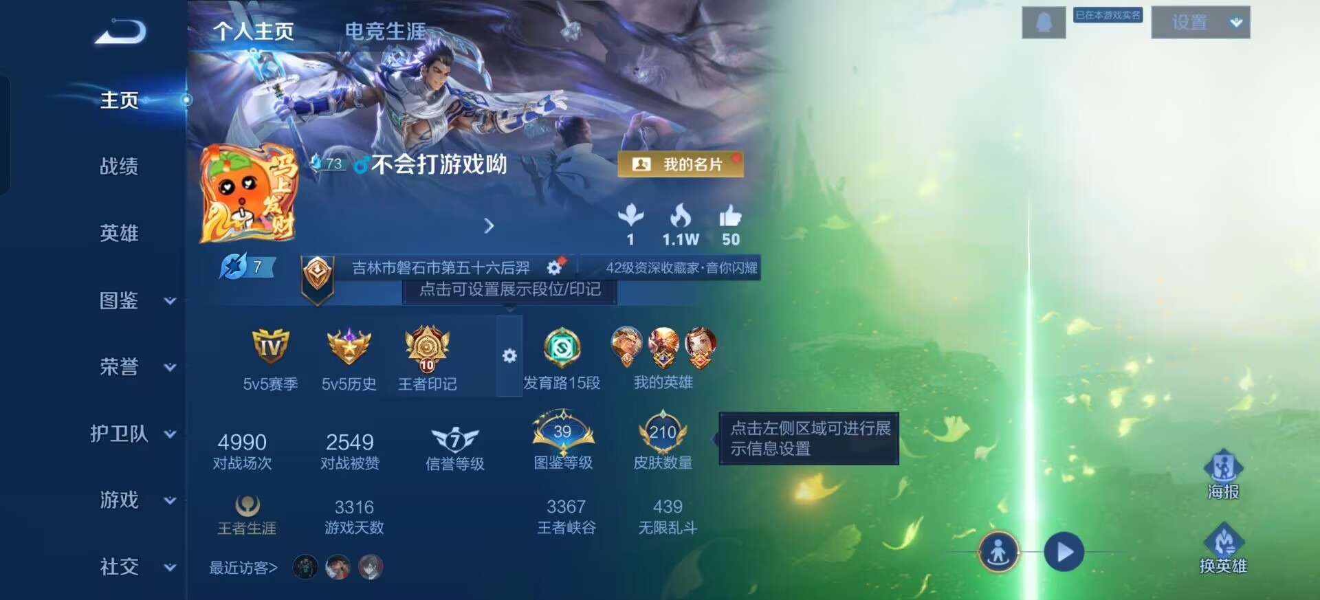 WZQM4215247王者荣耀账号详情图6