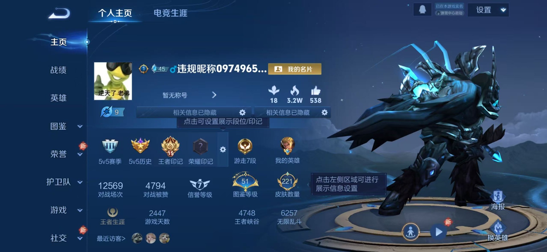 WZQM4221458王者荣耀账号详情图12