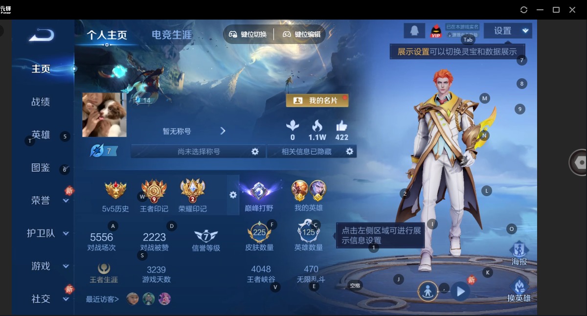 WZLX4248244王者荣耀账号详情图11