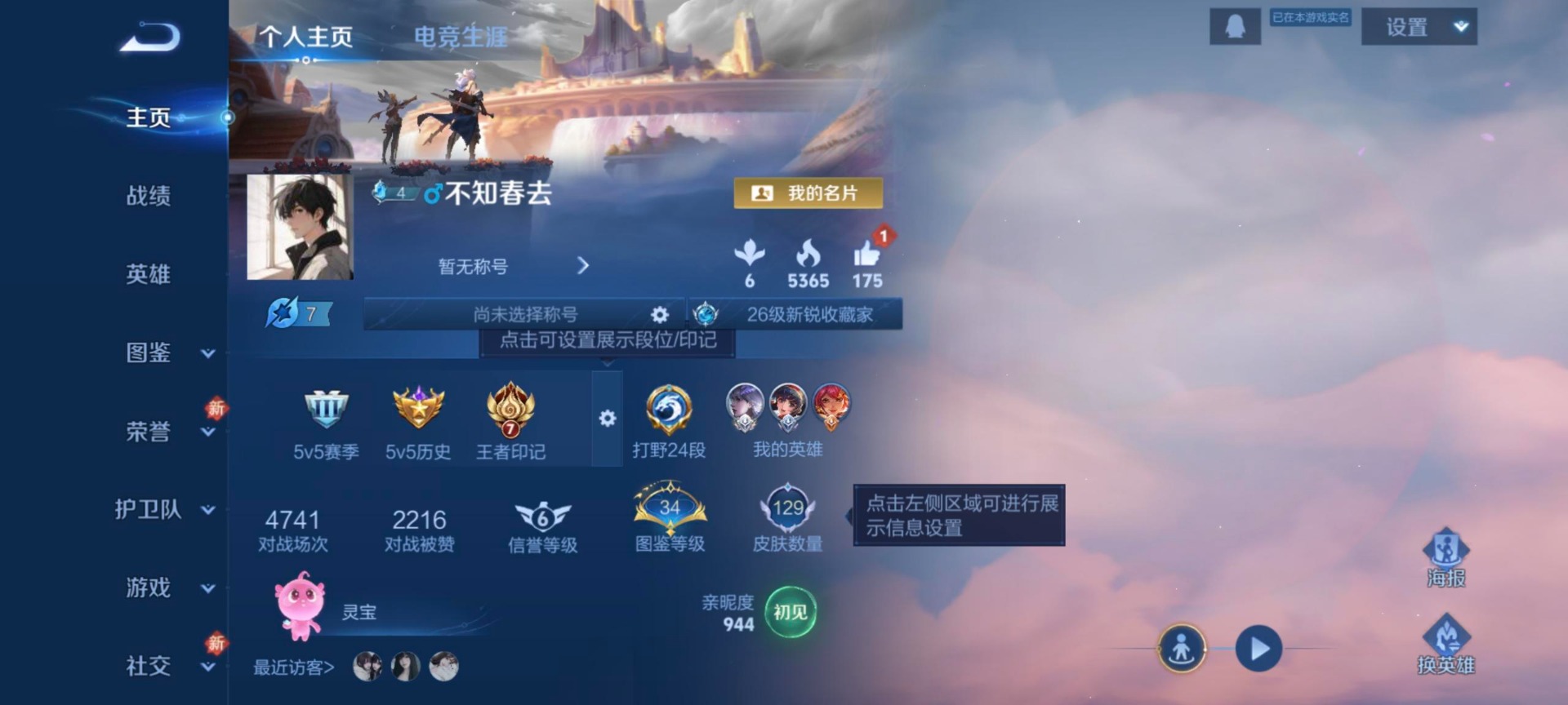 WZLX4231193王者荣耀账号详情图13