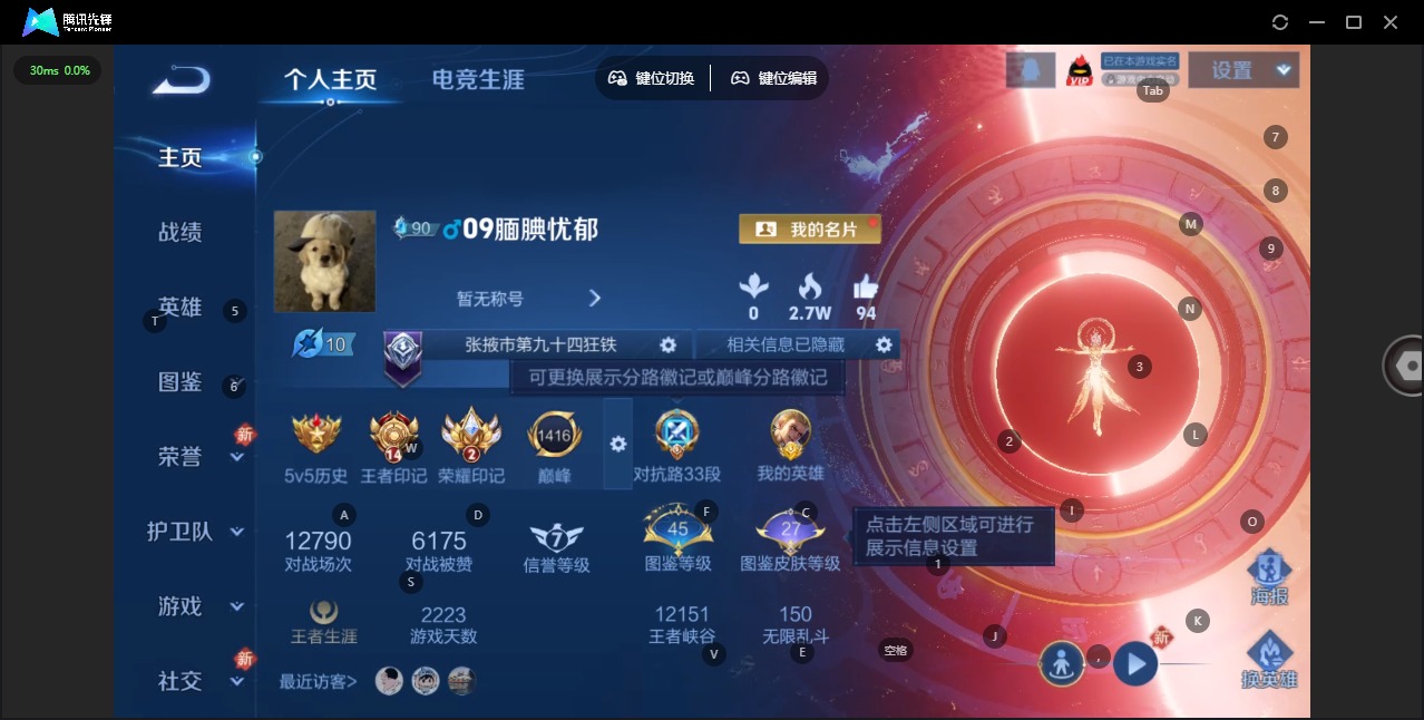 WZLX4235292王者荣耀账号详情图3