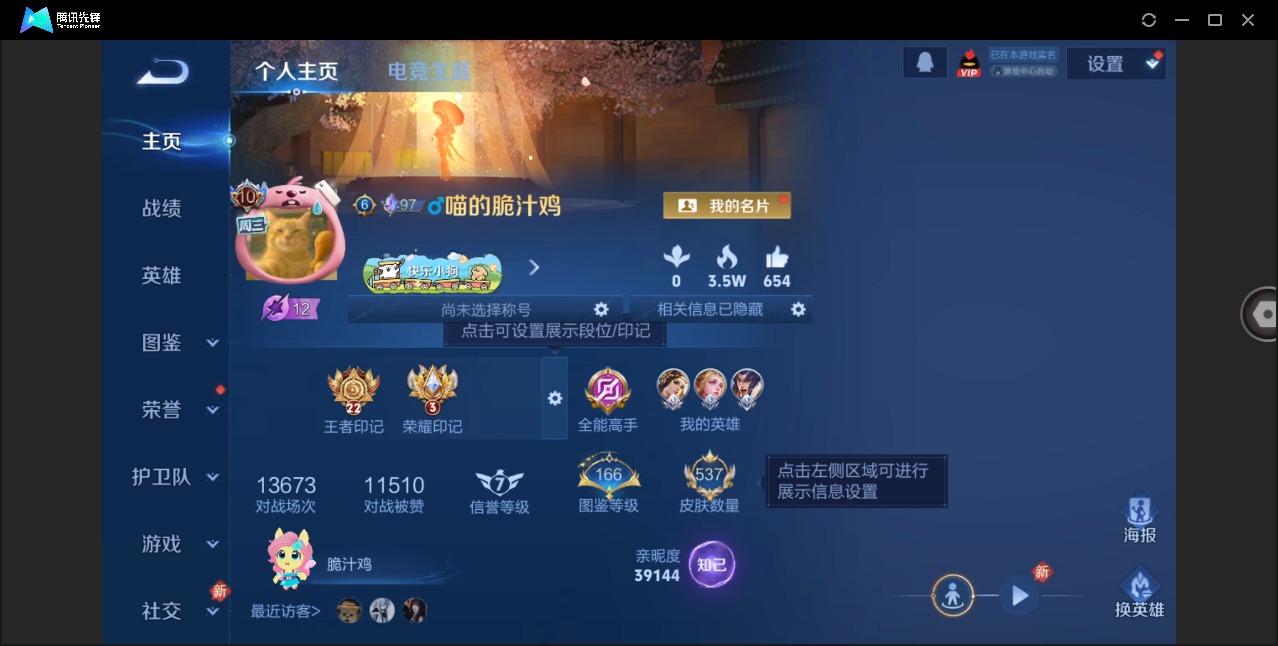 WZLX4236812王者荣耀账号详情图11