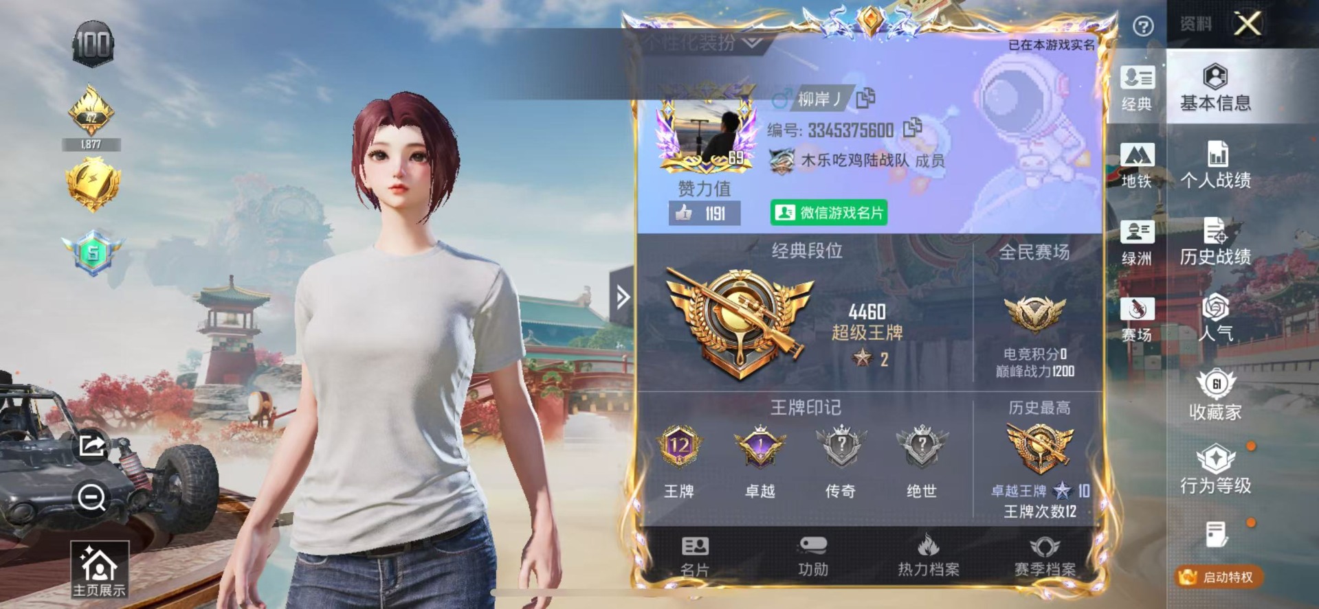 HPLX4134133和平精英账号详情图29