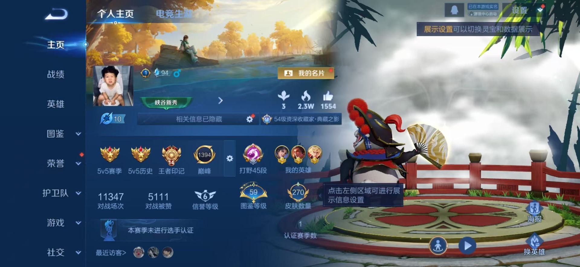 WZQM4250253王者荣耀账号详情图16 WZQM4250253王者荣耀账号详情图16