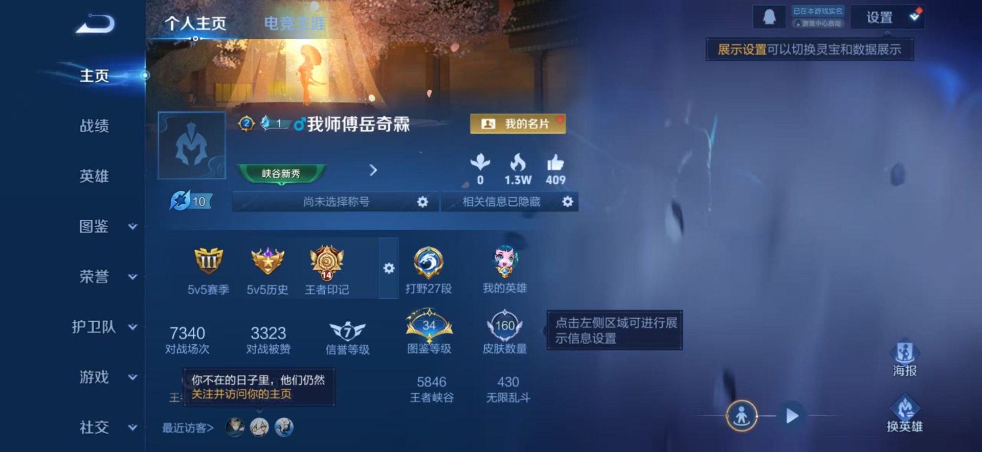 WZLX4250467王者荣耀账号详情图12