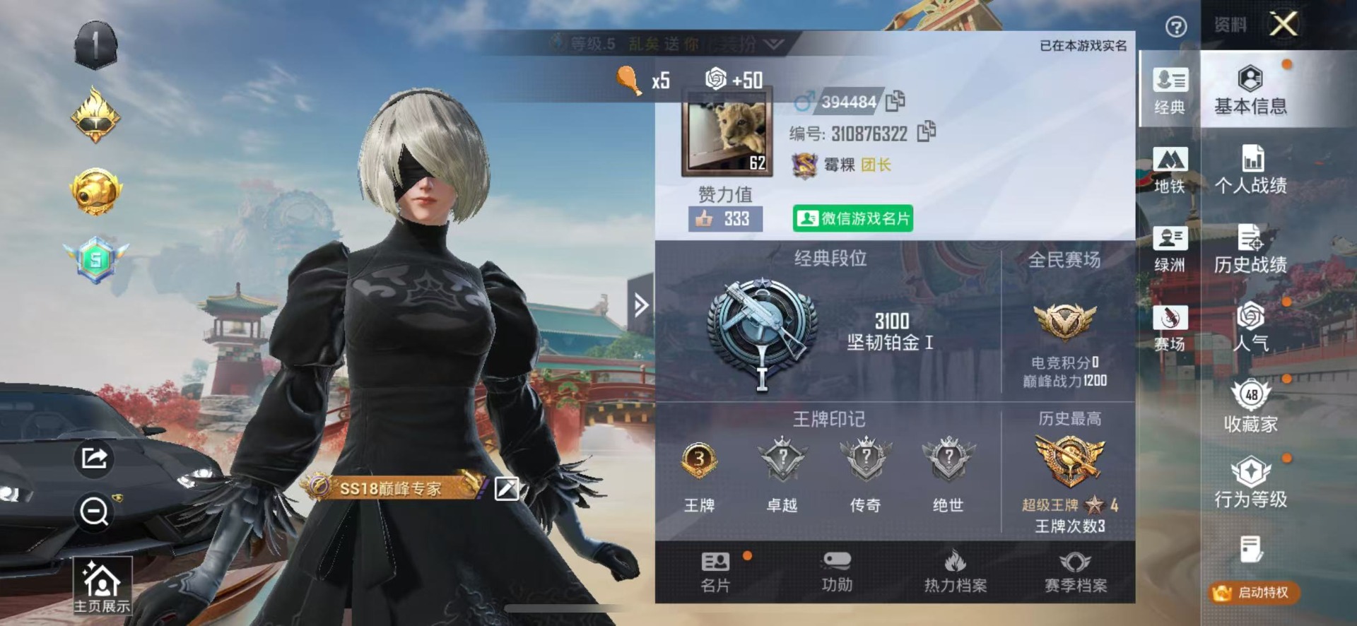 HPLX4138901和平精英账号详情图5