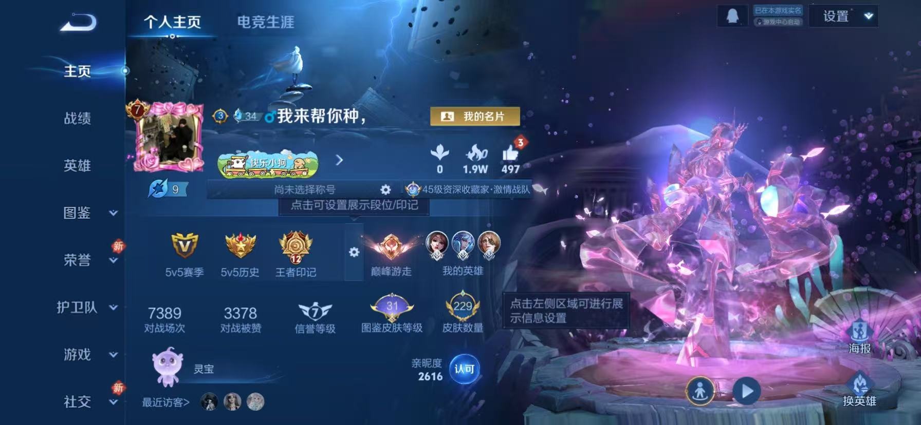 WZLX4255945王者荣耀账号详情图13