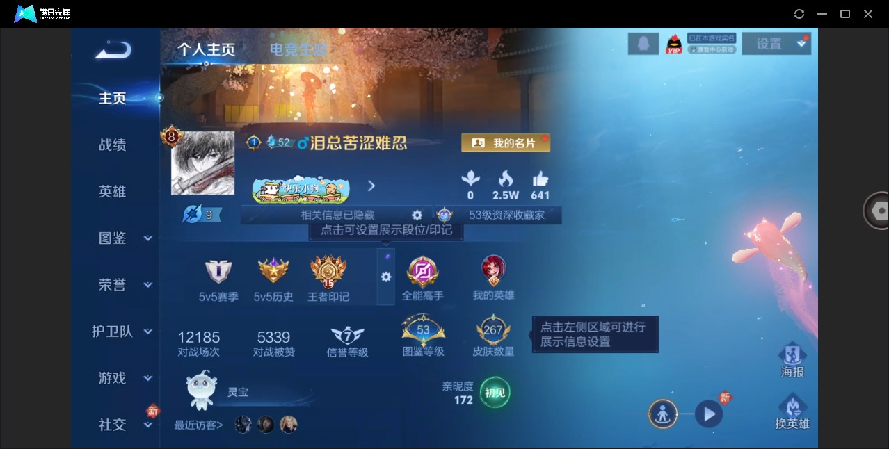 WZLX4276668王者荣耀账号详情图3