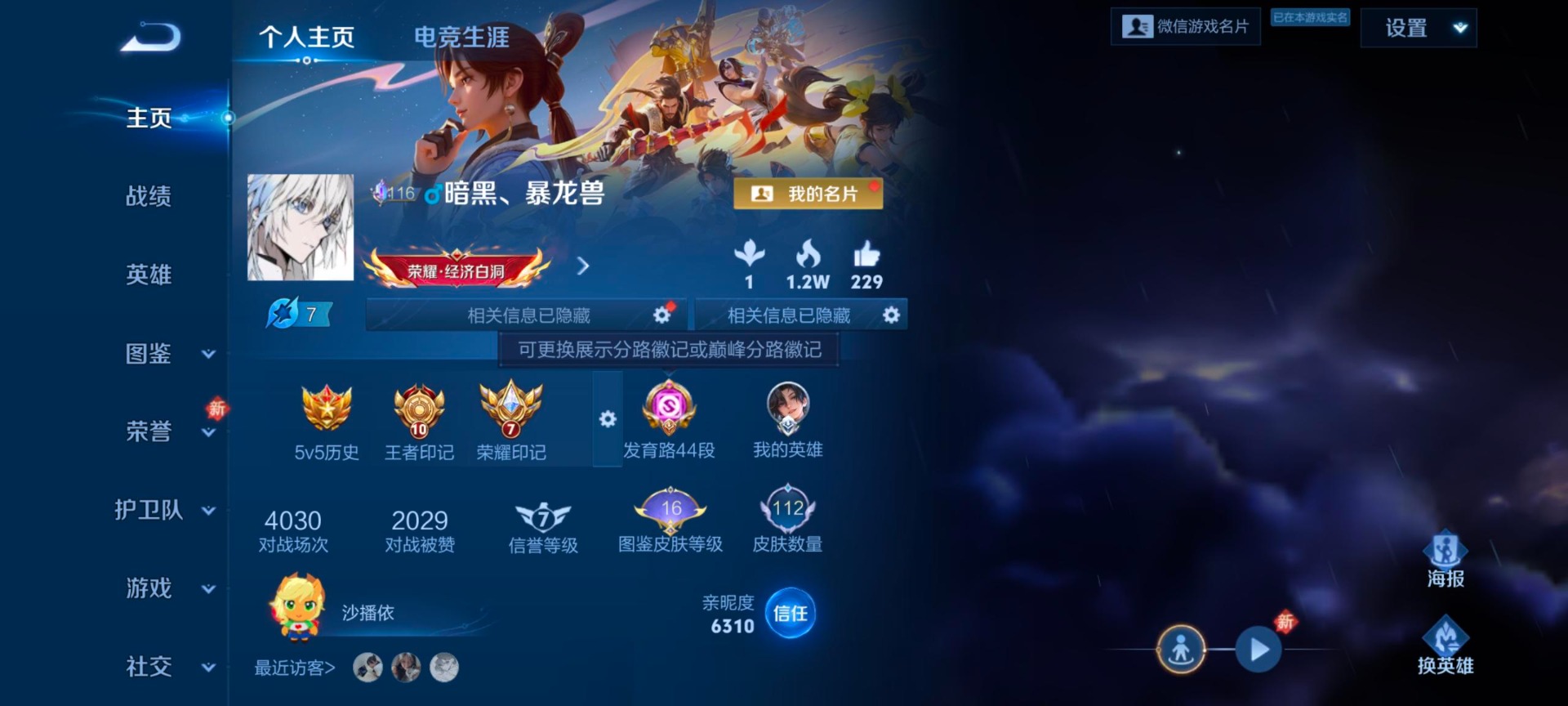 WZQM4259582王者荣耀账号详情图3