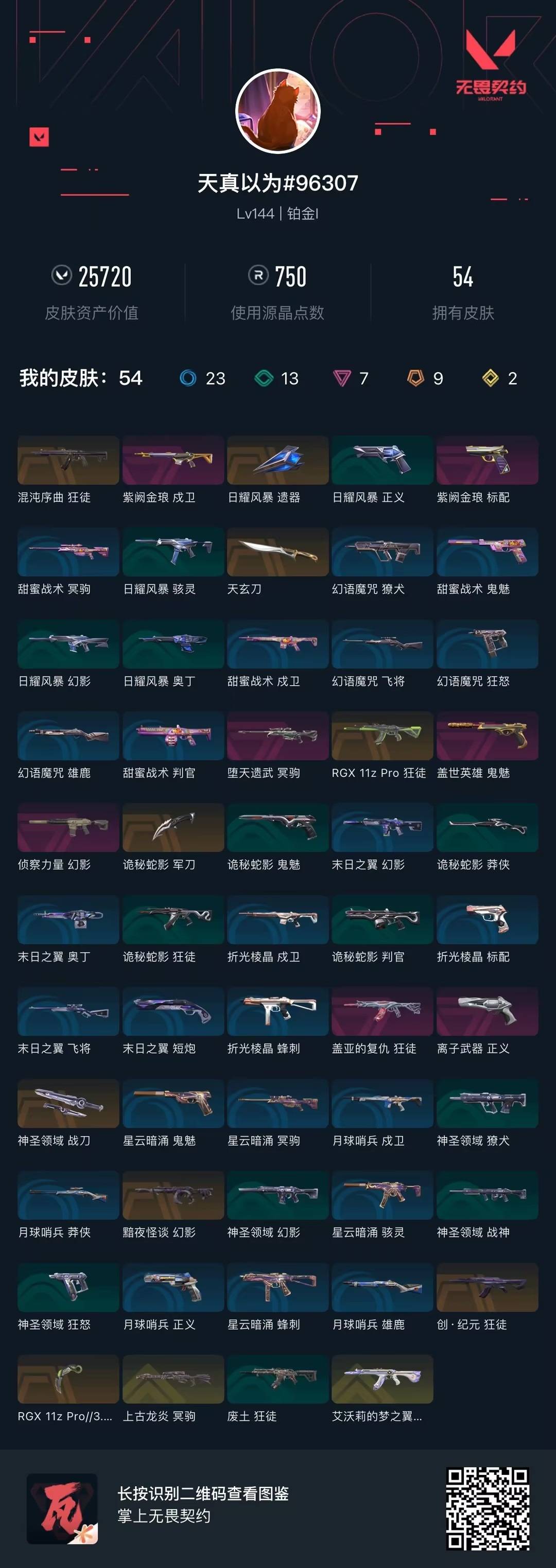 WWQQM424423无畏契约账号详情图8