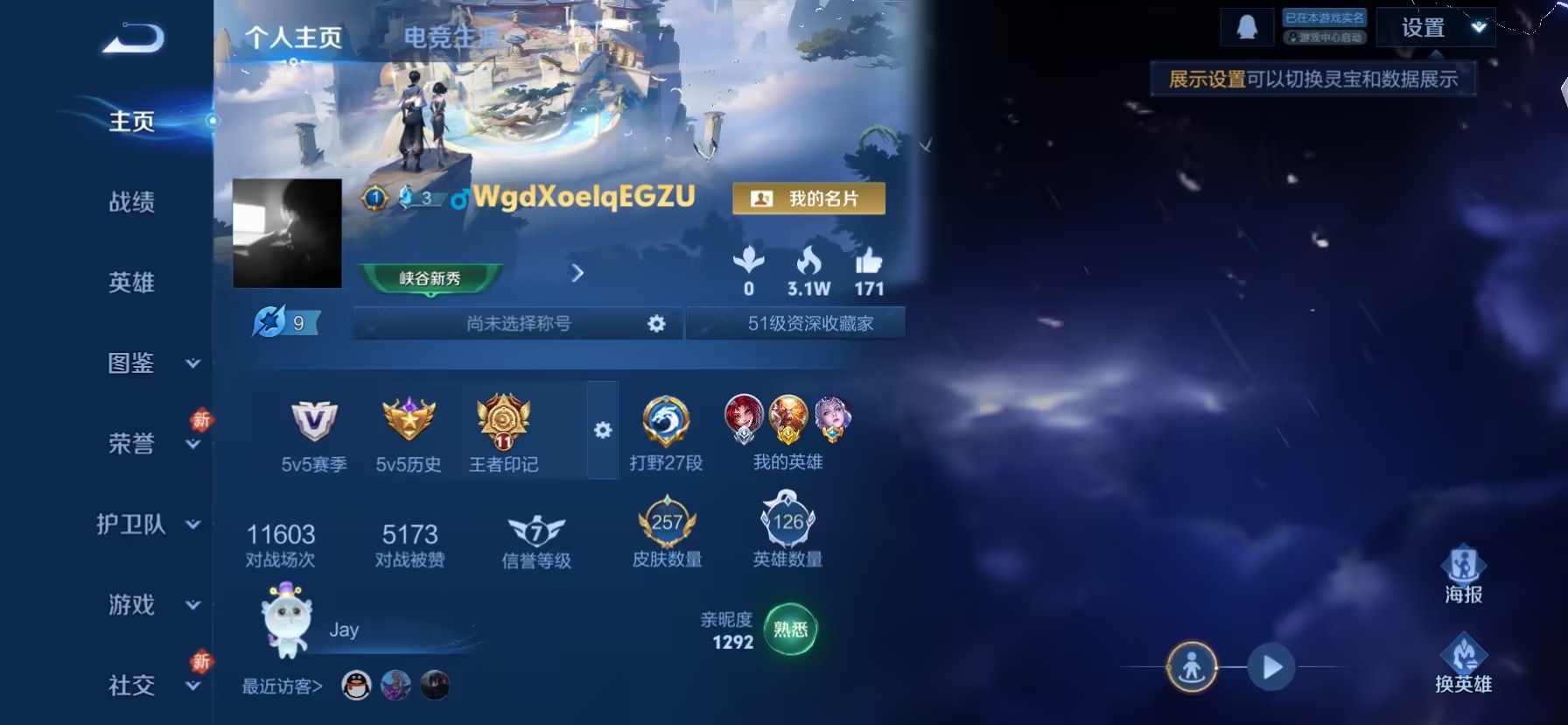 WZQM4261103王者荣耀账号详情图10 WZQM4261103王者荣耀账号详情图10