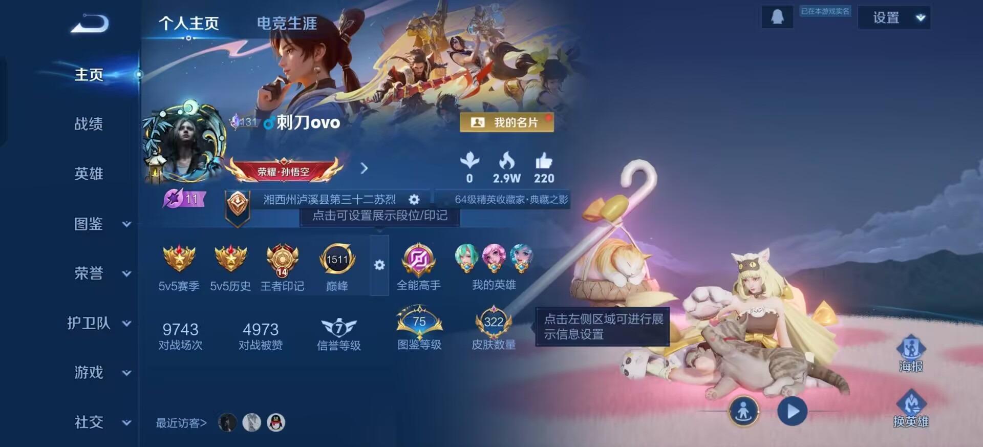 WZLX4282685王者荣耀账号详情图17