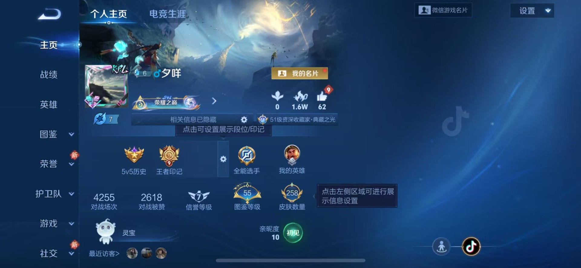 WZLX4269445王者荣耀账号详情图10