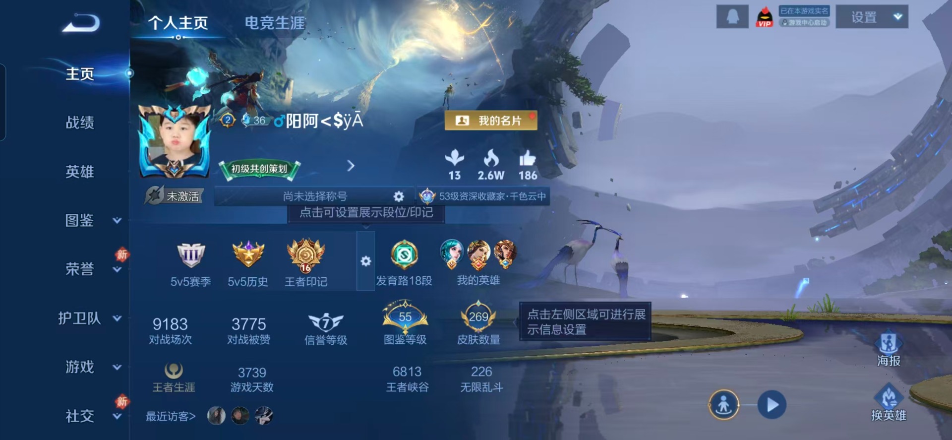 WZQM4287808王者荣耀账号详情图13 WZQM4287808王者荣耀账号详情图13