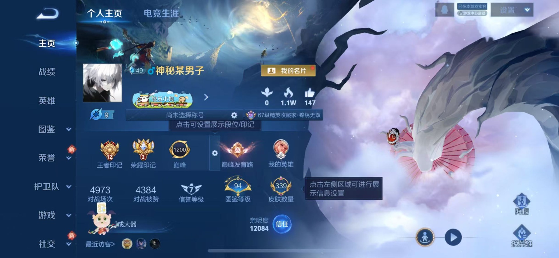 WZLX4274224王者荣耀账号详情图24