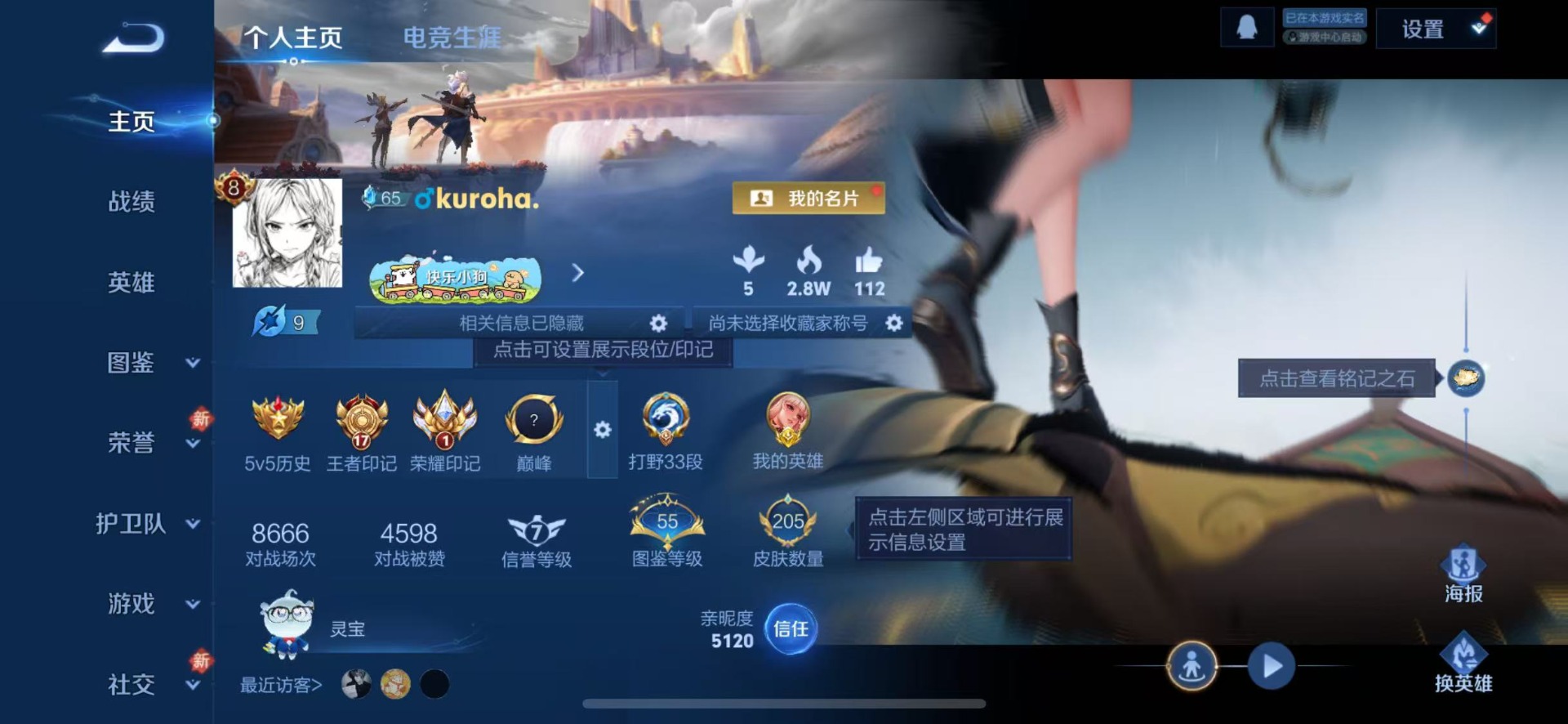 WZQM4273935王者荣耀账号详情图14