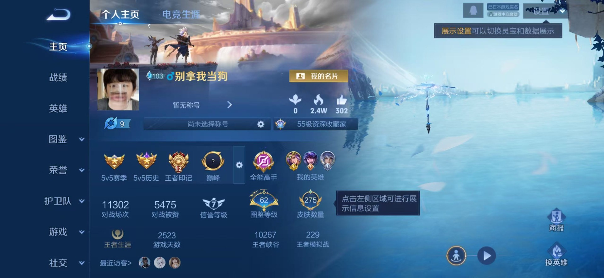 WZQM4274052王者荣耀账号详情图17