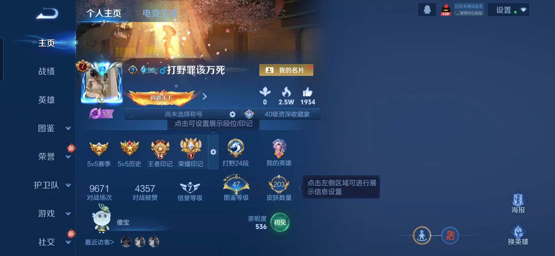 WZQM4276020王者荣耀账号详情图13