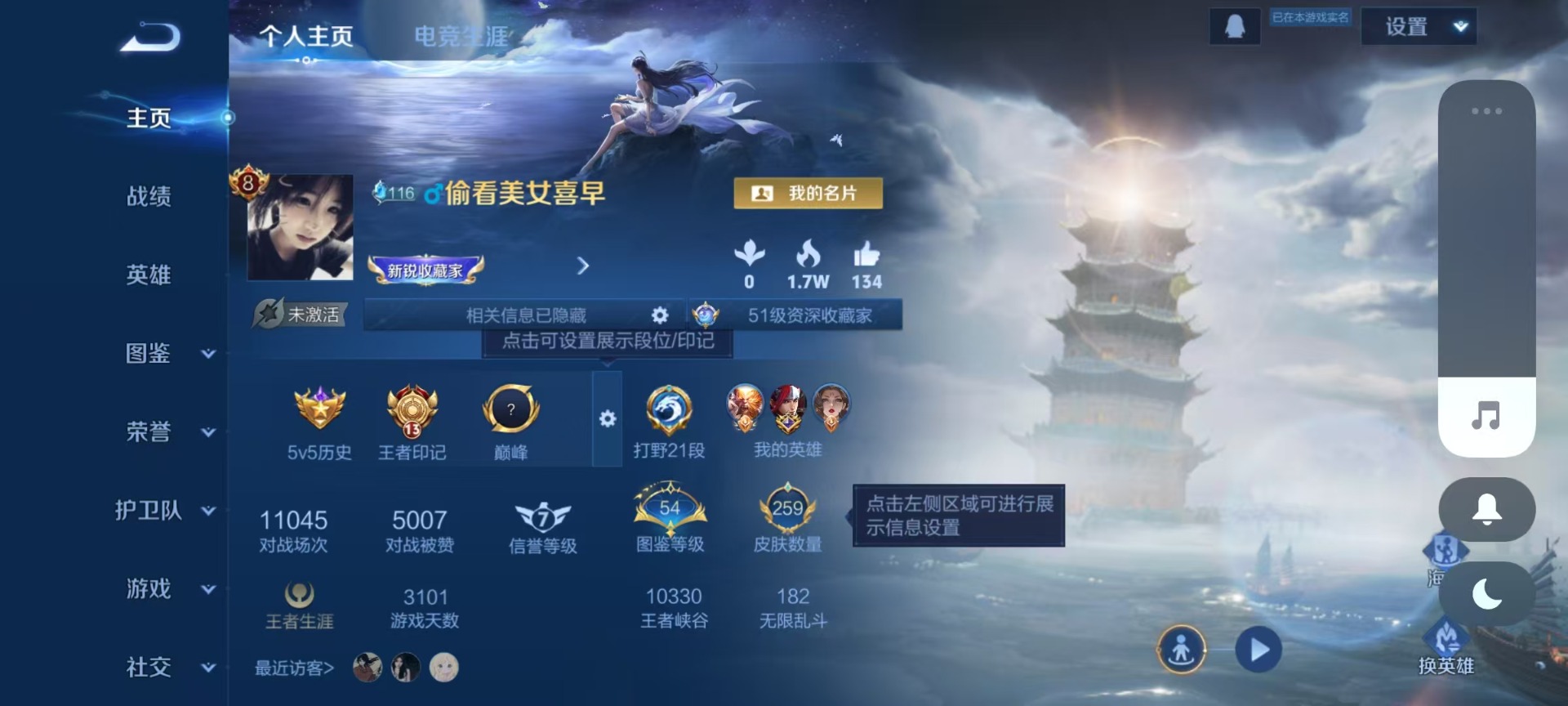 WZQM4278118王者荣耀账号详情图14