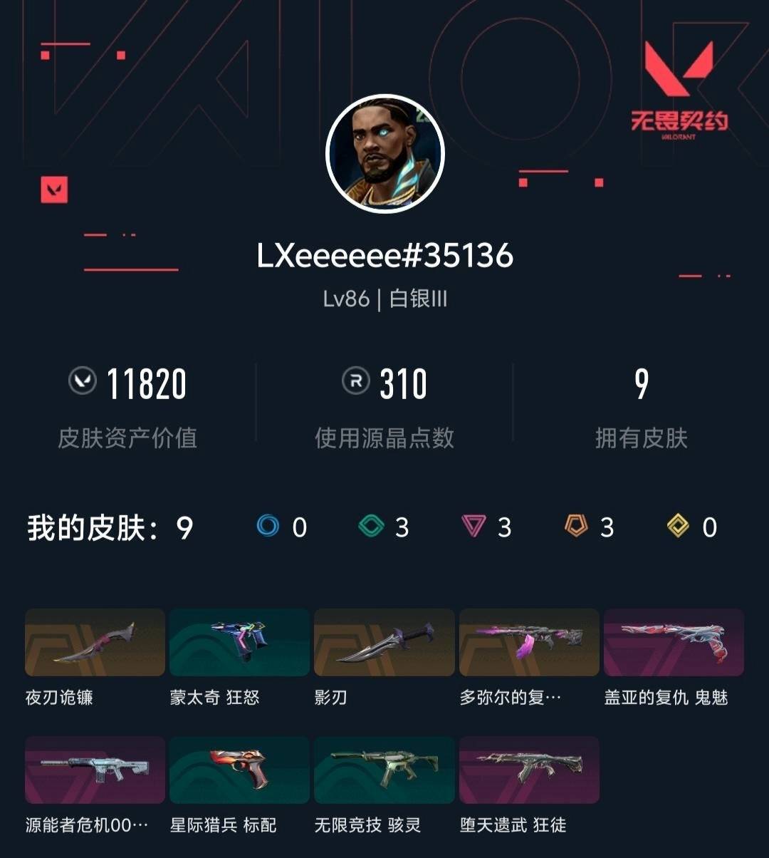 WWQLX427333无畏契约账号详情图3