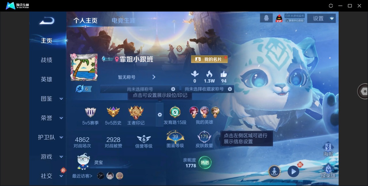 WZQM4284519王者荣耀账号详情图4 WZQM4284519王者荣耀账号详情图4