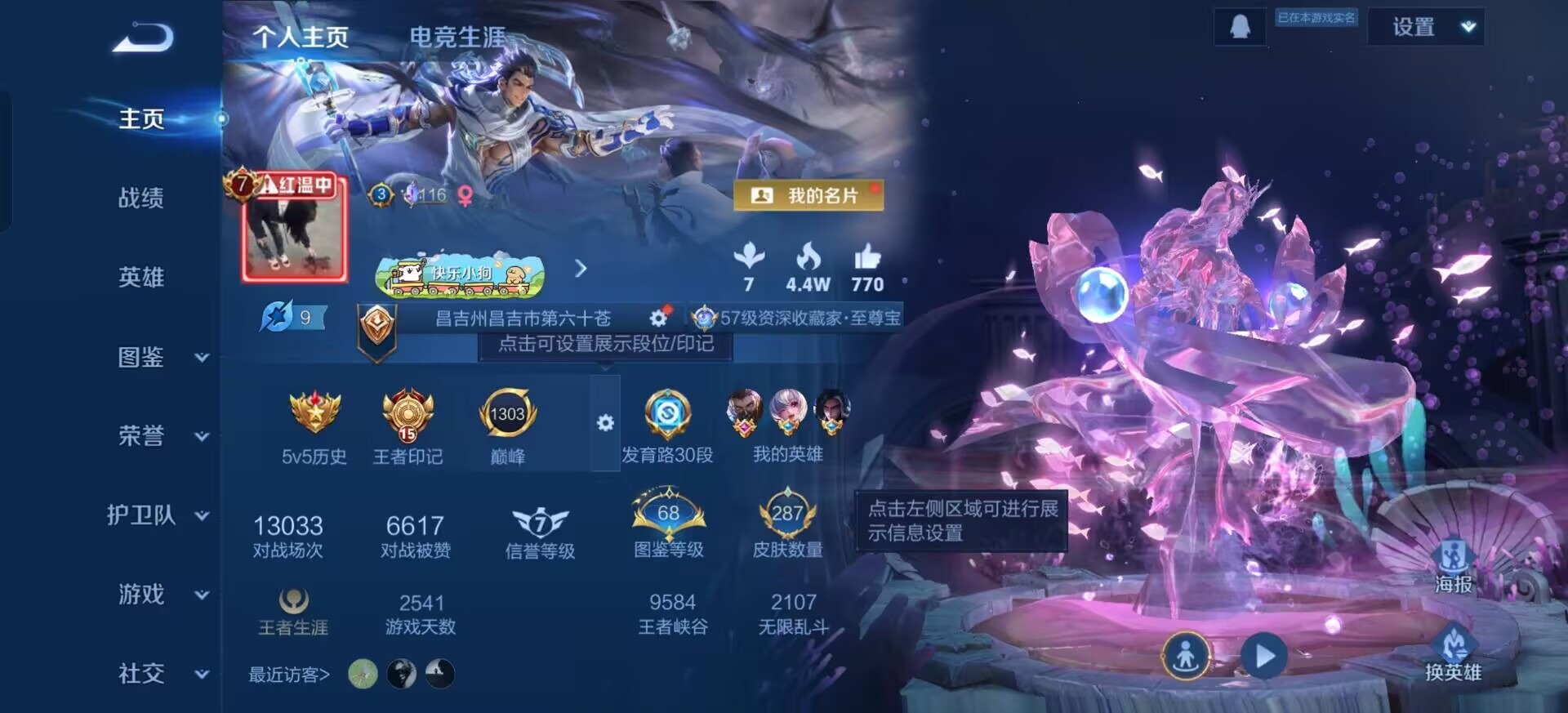 WZLX4279491王者荣耀账号详情图13