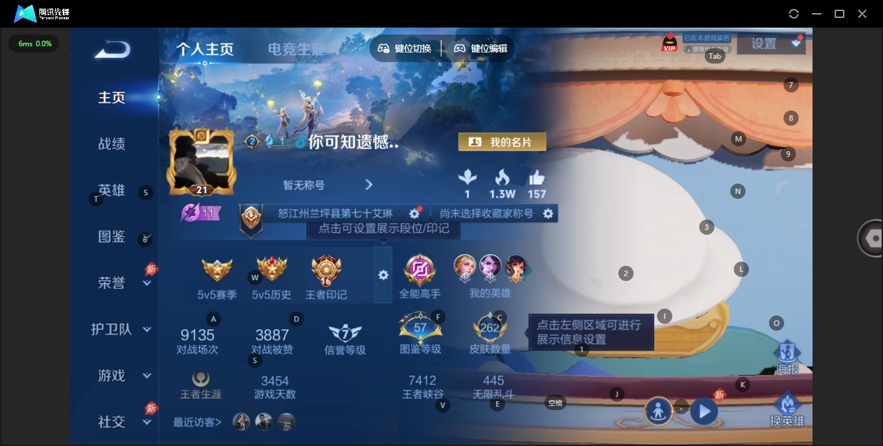 WZLX4315414王者荣耀账号详情图3