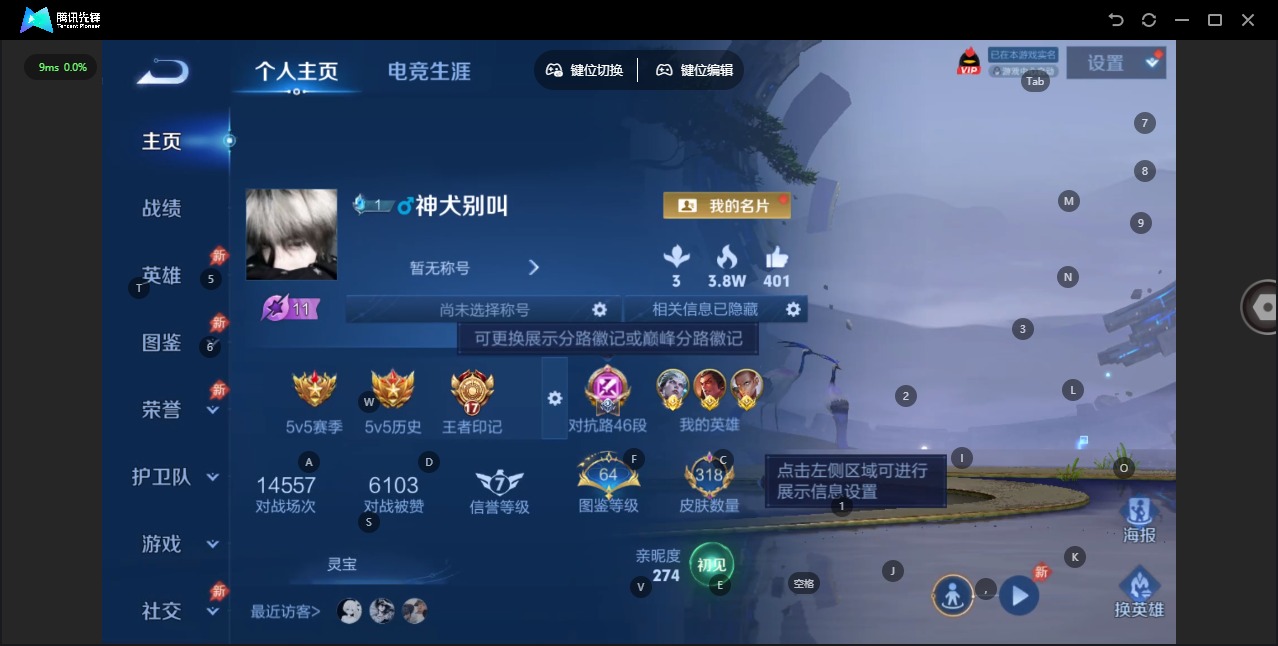 WZQM4300551王者荣耀账号详情图4