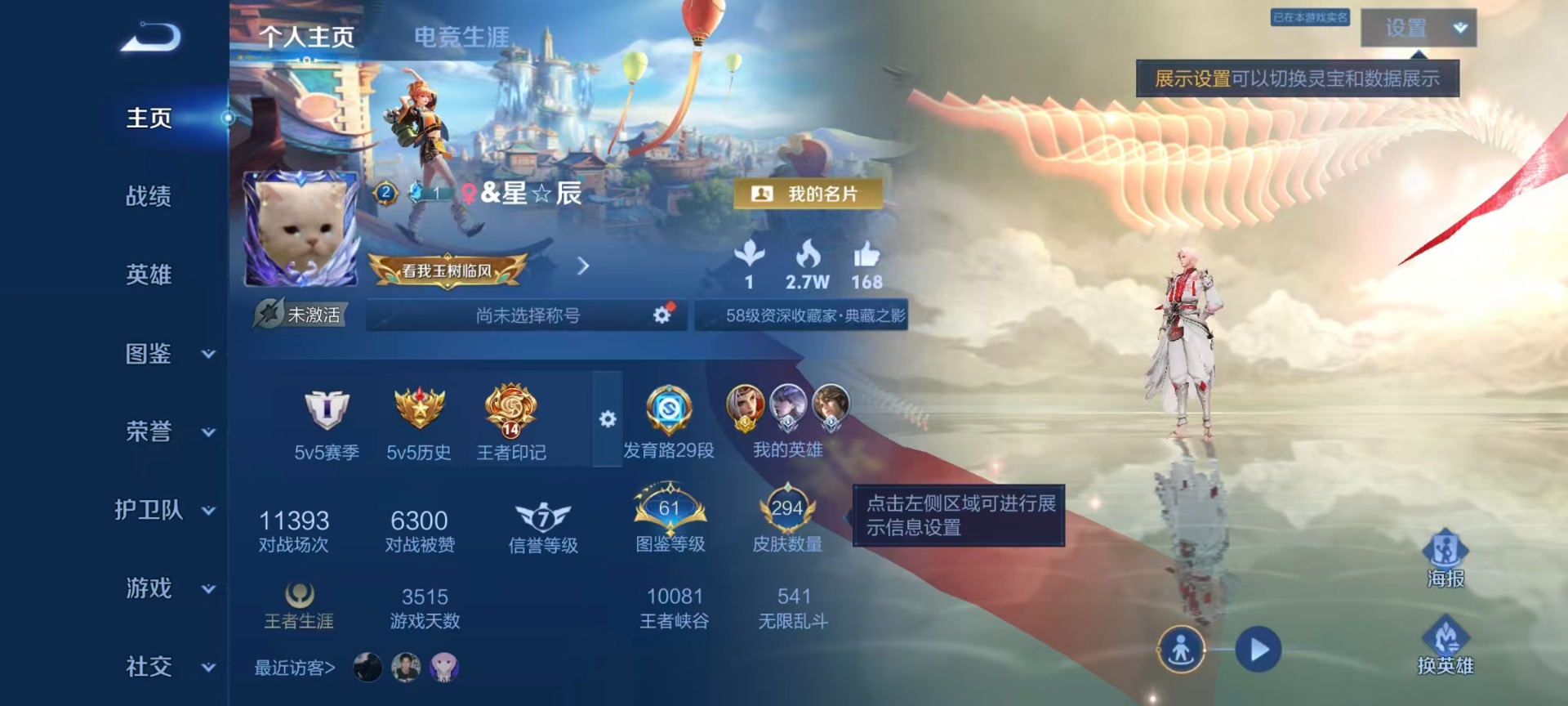 WZLX4302482王者荣耀账号详情图14