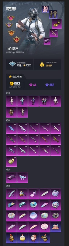 HPQM4165668和平精英账号详情图30 HPQM4165668和平精英账号详情图30