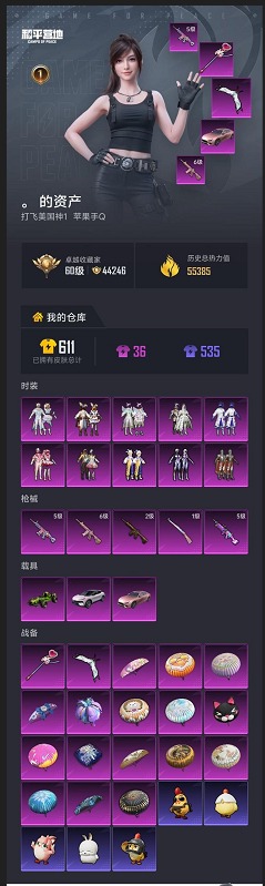 HPQM4163933和平精英账号详情图27