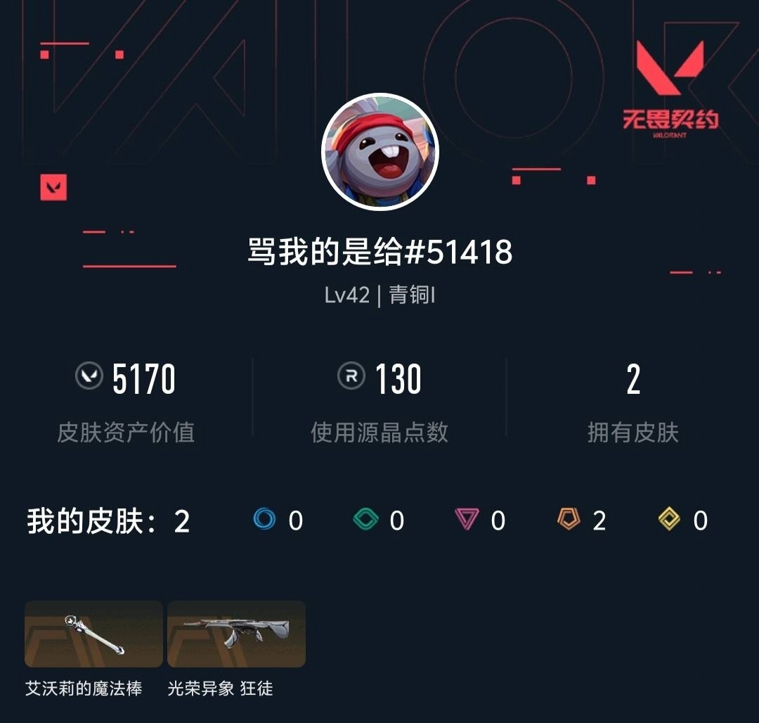 WWQLX429278无畏契约账号详情图5