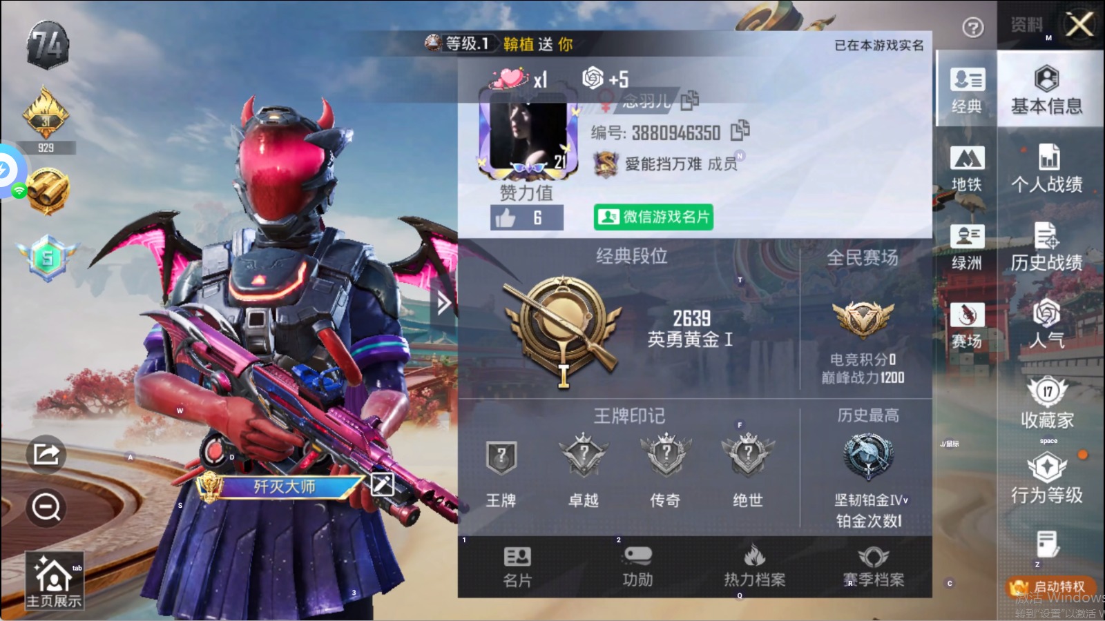 HPLX4170358和平精英账号详情图5