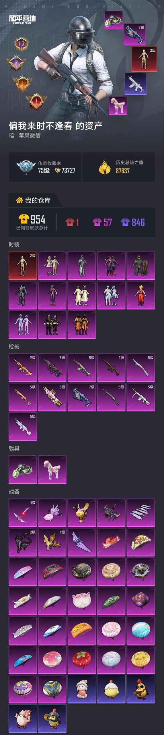 HPLX4172213和平精英账号详情图42